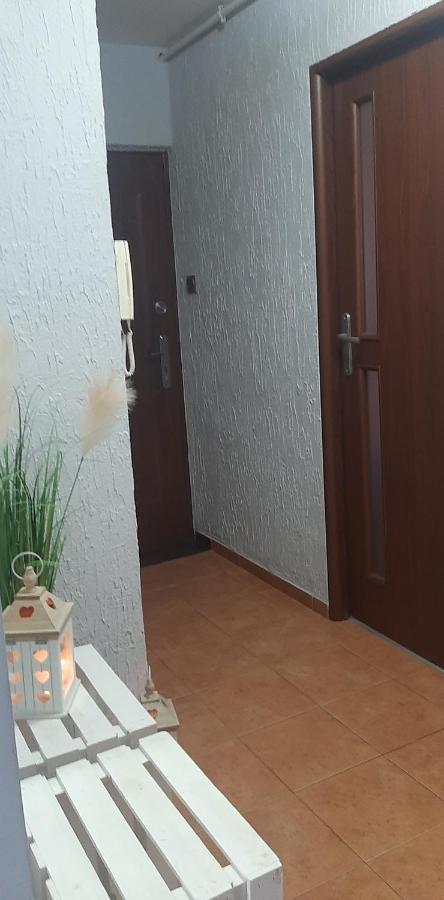 Flowers Apartament Apartment ปีวา ภายนอก รูปภาพ