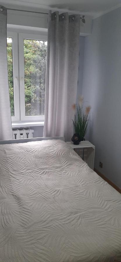Flowers Apartament Apartment ปีวา ภายนอก รูปภาพ